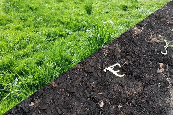 Artificial Turf Removal and Disposal in Rosenberg, TX