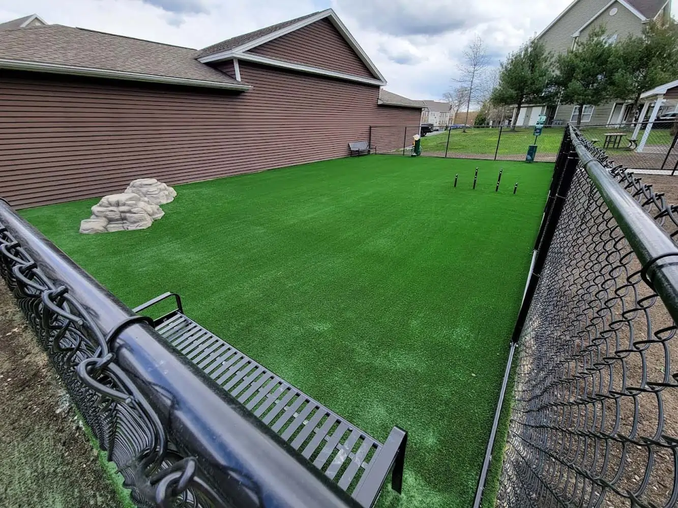 Pet Friendly Artificial Turf Installation in Rosenberg, TX